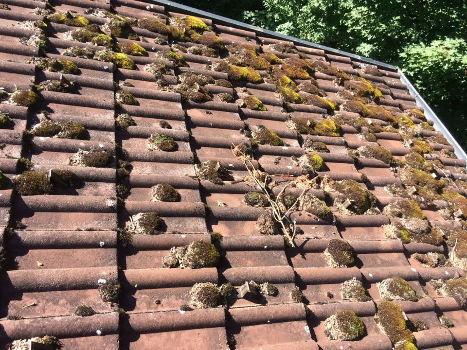 Wartung – Foto 1 von 4